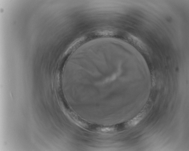 X0000061140163200512091943