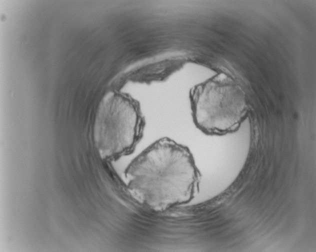 X0000061140165200512091943