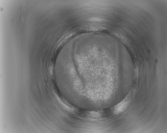 X0000061140166200512091943