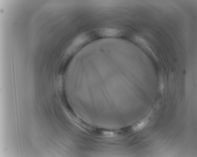 X0000061140167200512091943