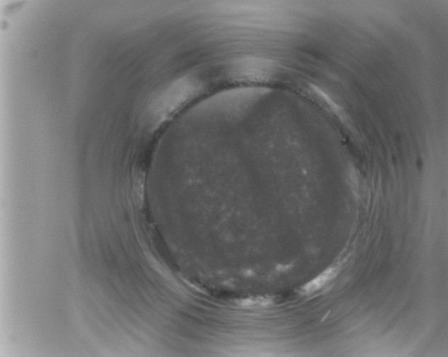 X0000061140168200512091943