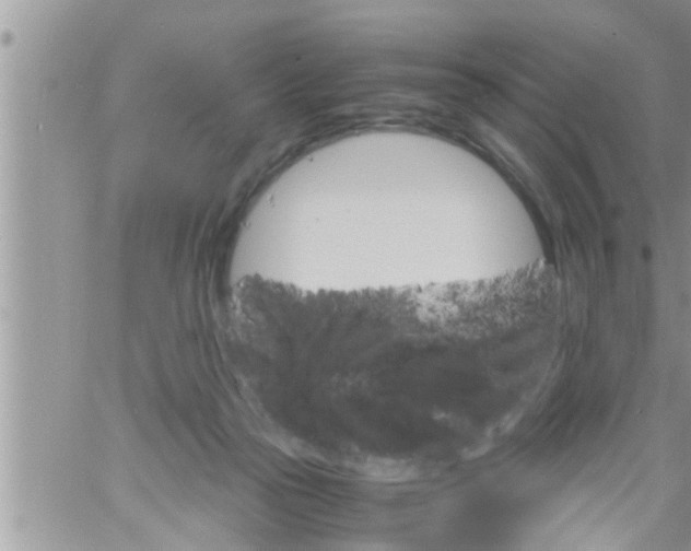 X0000061140169200512091943