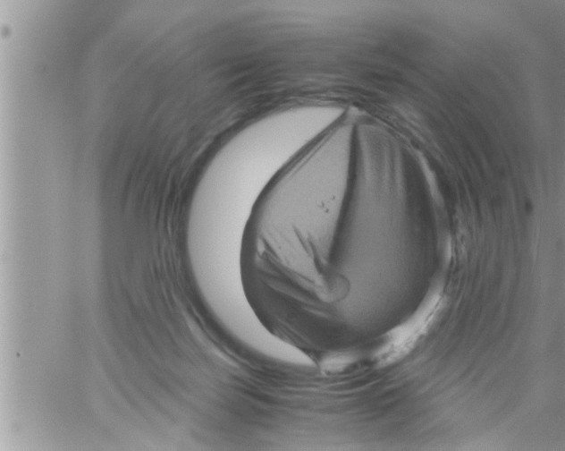 X0000061140171200512091943