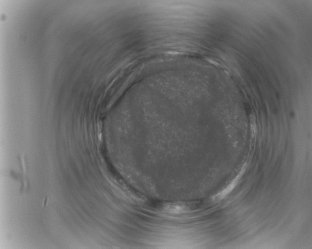 X0000061140174200512091943