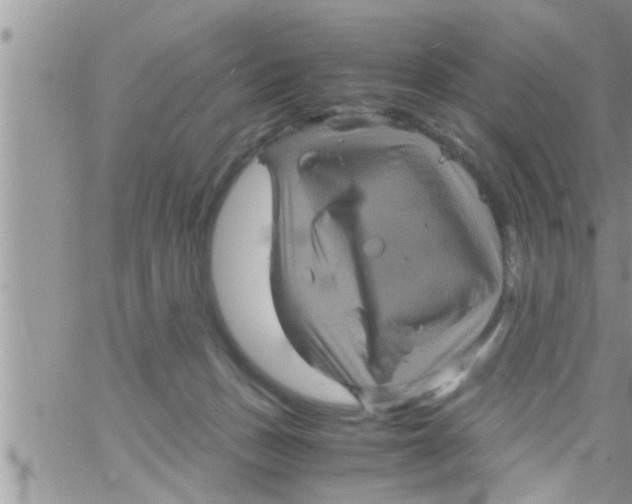 X0000061140175200512091943