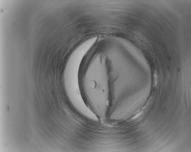 X0000061140176200512091943