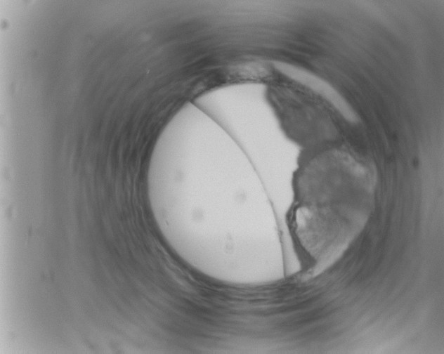 X0000061140177200512091943