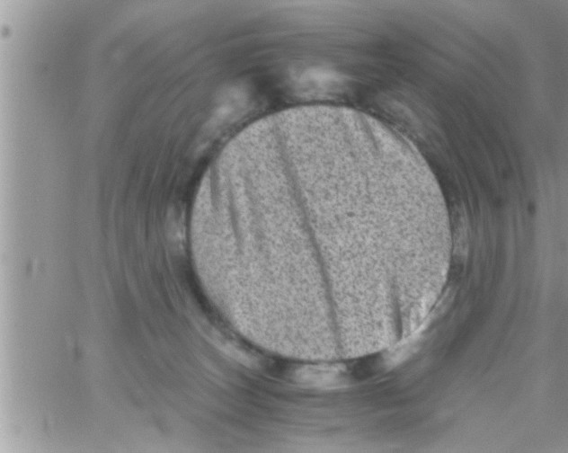 X0000061140179200512091943