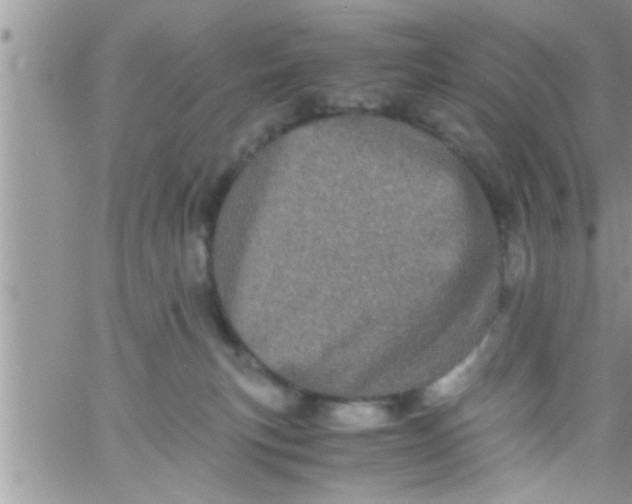 X0000061140183200512091943