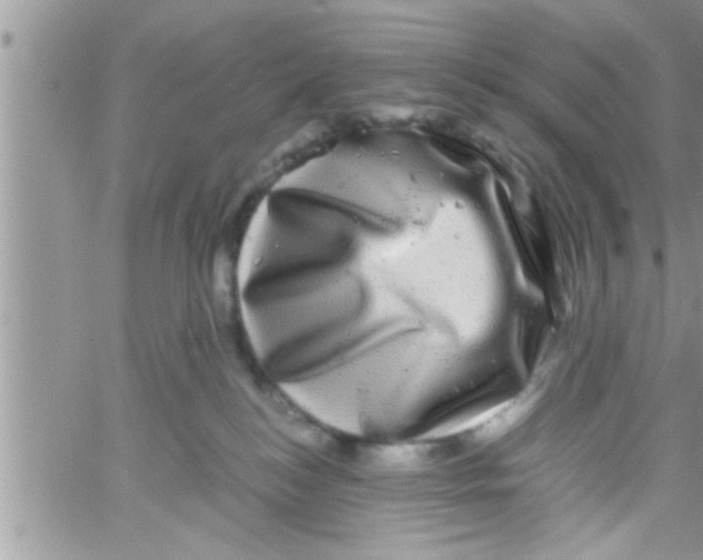 X0000061140184200512091943