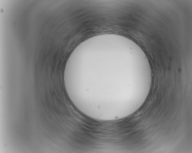 X0000061140185200512091943