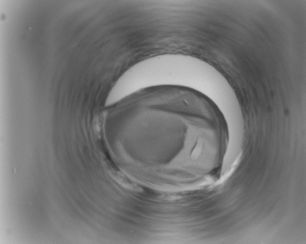 X0000061140186200512091943