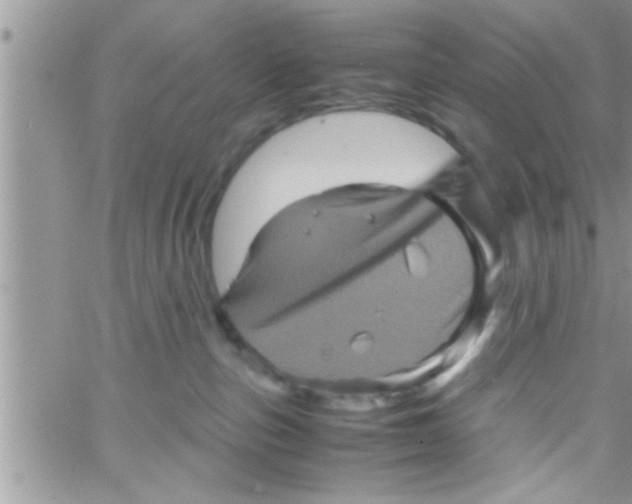 X0000061140187200512091943