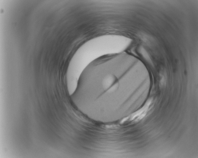 X0000061140188200512091943