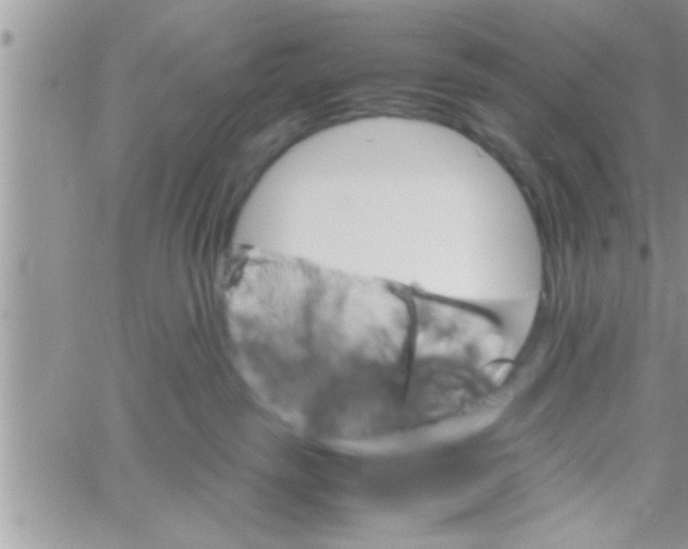 X0000061140189200512091943