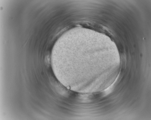 X0000061140190200512091943