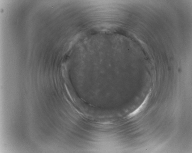 X0000061140192200512091943