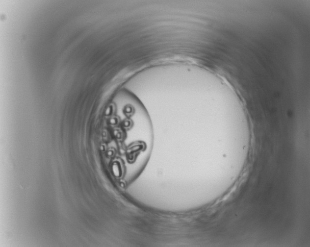 X0000061140193200512091942