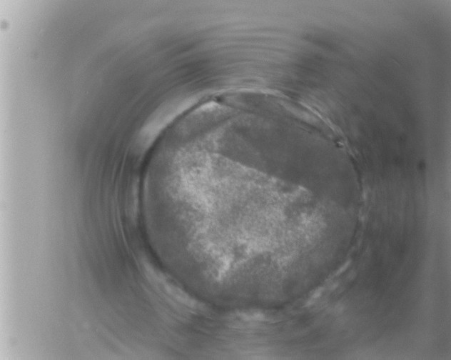 X0000061140194200512091942