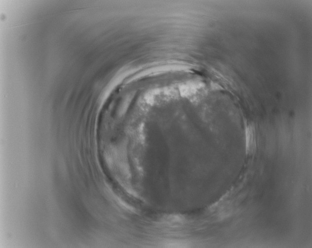 X0000061140195200512091942