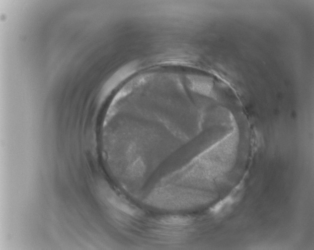 X0000061140198200512091942