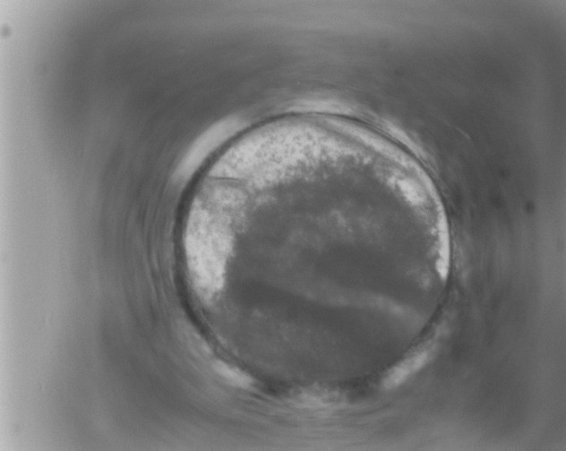 X0000061140199200512091942