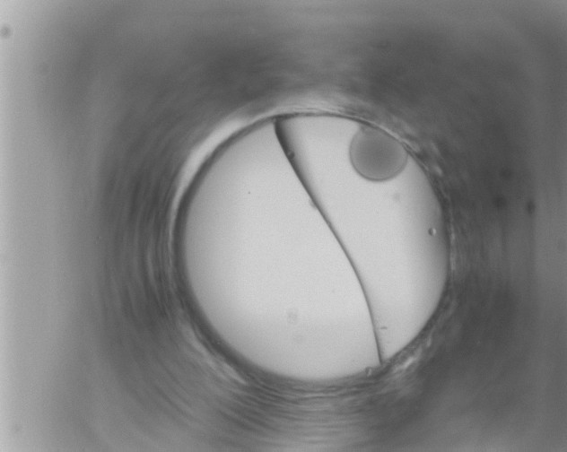 X0000061140200200512091942