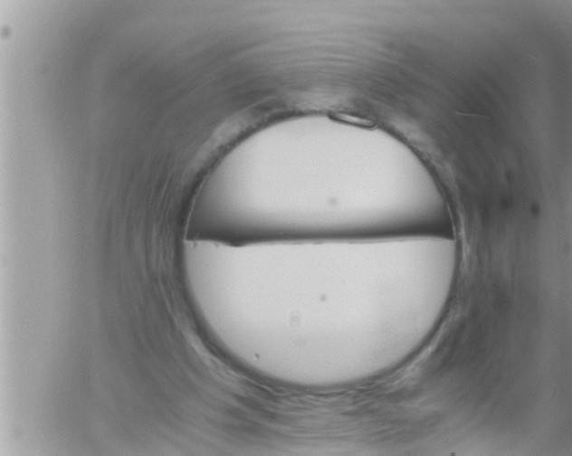 X0000061140201200512091942