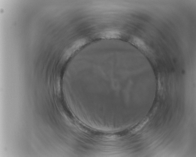 X0000061140202200512091942