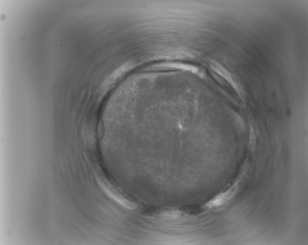 X0000061140203200512091942