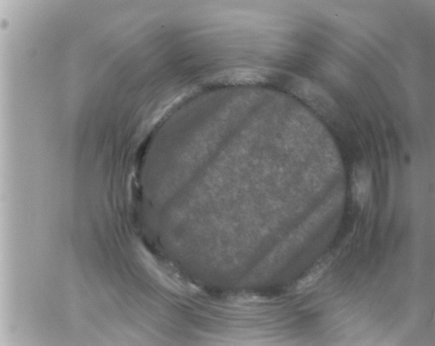 X0000061140206200512091942