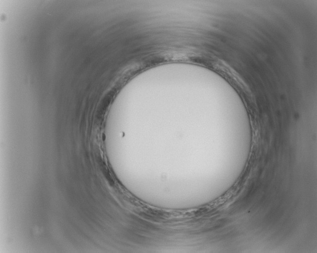 X0000061140209200512091942