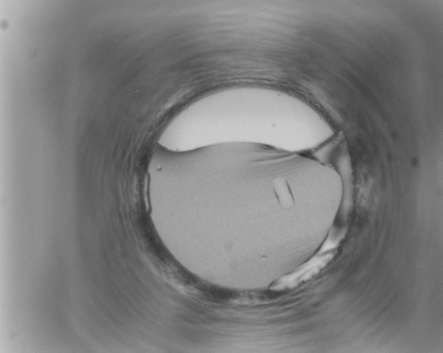 X0000061140211200512091942