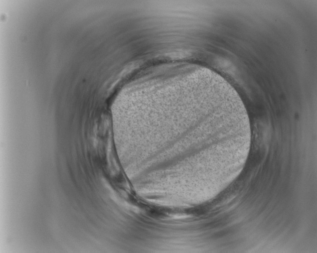 X0000061140212200512091942