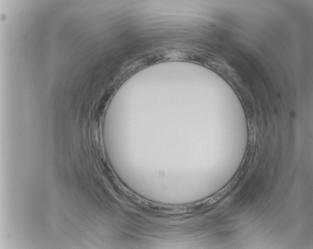 X0000061140213200512091942