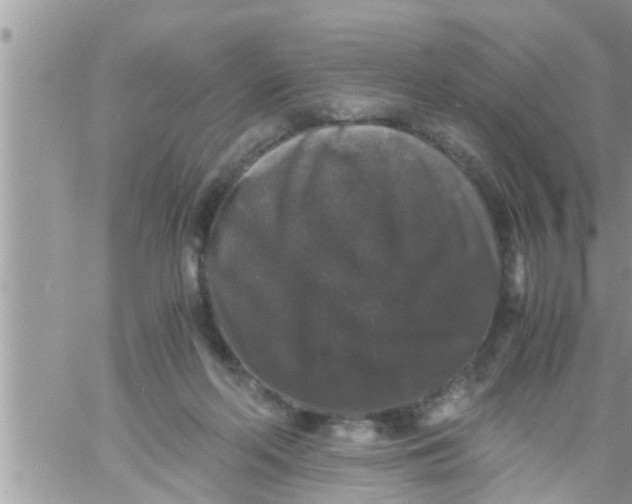 X0000061140214200512091942