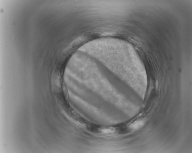 X0000061140215200512091942