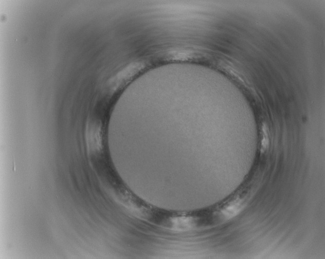 X0000061140216200512091942