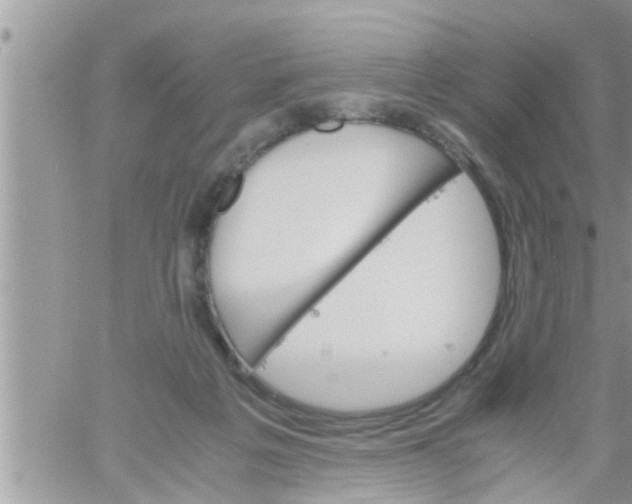 X0000061140217200512091942