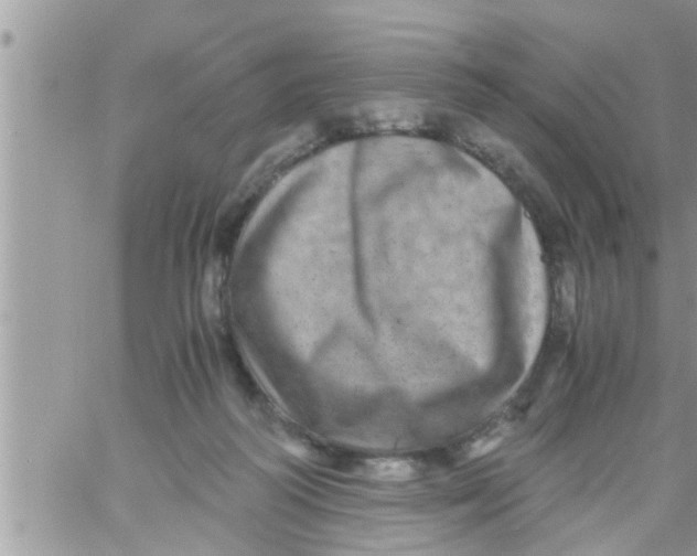 X0000061140218200512091942