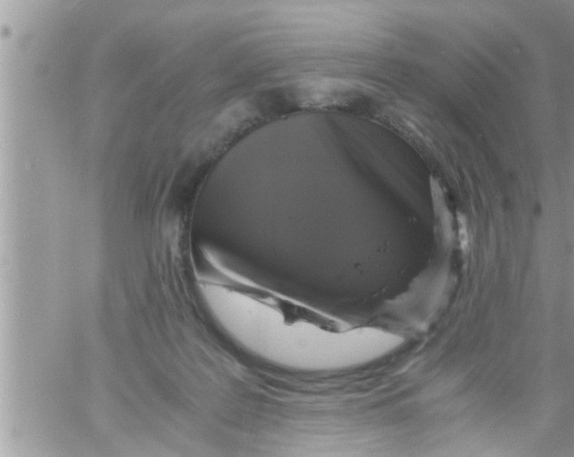 X0000061140219200512091942