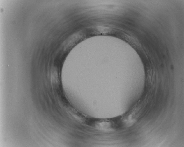 X0000061140220200512091942