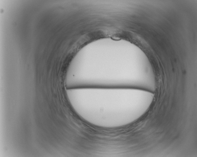 X0000061140221200512091942