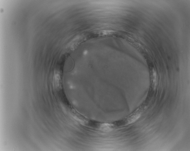 X0000061140222200512091942