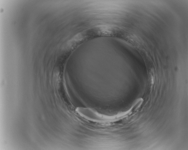 X0000061140223200512091942