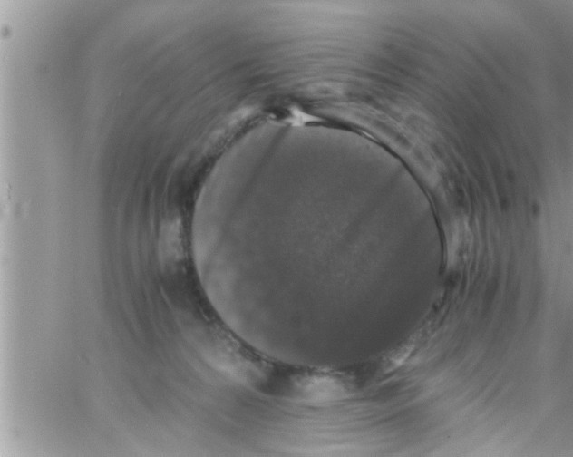 X0000061140224200512091942