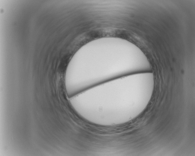 X0000061140225200512091942