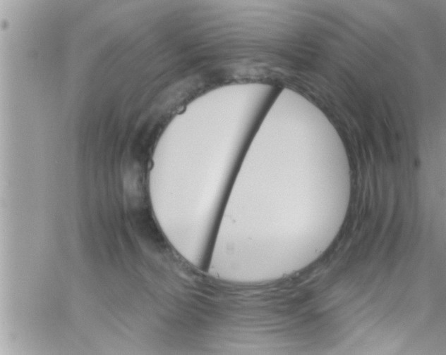 X0000061140228200512091942