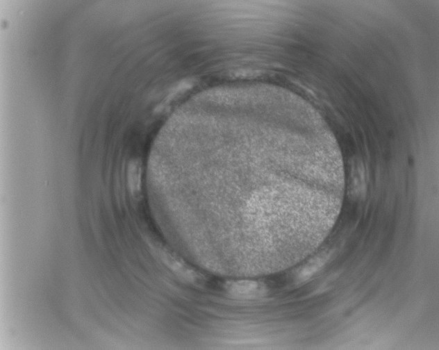 X0000061140230200512091942