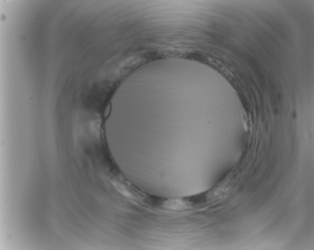 X0000061140231200512091942